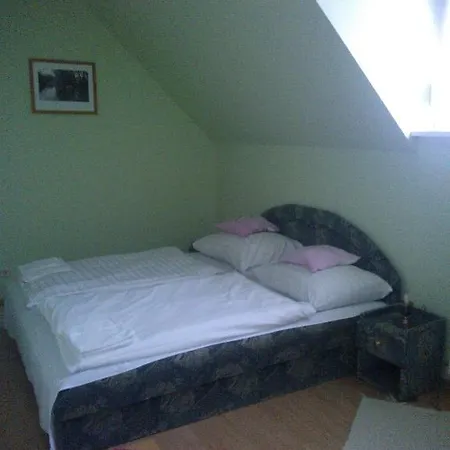 Kont Panzio Es Apartmanhazak Pensjonat Hédervár